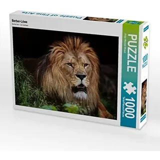 CALVENDO Puzzle Berber-Löwe 1000 Teile Puzzle quer | Lege-Größe cm Foto-Puzzle für glückliche Stunden