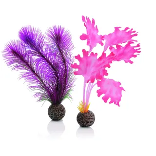 biOrb 46081 Seetang Set S pink - Aquariumdekoration, zwei Wasserpflanzen zur Einrichtung von Süßwasseraquarien und Meerwasseraquarien