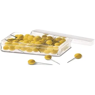 Magnetoplan Nägel, Pinwand-Nadeln (100 Stück, 19 mm)