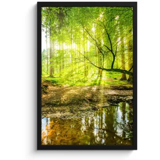 MuchoWow Poster MIT Rahmen Wald - Landschaft - Wasser - Bäume - Sonne - Grün - Natur Bilder mit Rahmen 40x60 cm , Papier , Rechteckig , 40x60 cm , gerahmt , Bilder & Rahmen, Bilder