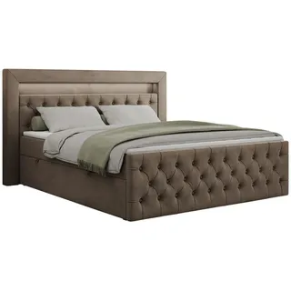 MKS Boxspringbett 160 x 200 cm H4 Braun