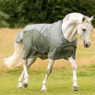 BUSSE Fliegendecke Rainfly Regendecke Light Olive 155