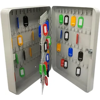 ARREGUI PLL160 Schlüsselschrank | Schlüsselkasten | Schlüsselbox aus lackiertem Stahl | Abschließbar mit 160 Haken und Schlüsselschloss | inkl. 160 beschriftbare Schlüsselanhänger | 37x28x8 cm | Grau
