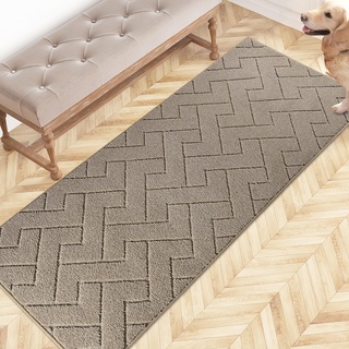 FCSDETAIL Schmutzfangmatte Innen 60 x 150 cm, rutschfeste Fußmatte, waschbar Sauberlaufmatte, absorbierend Fussmatte, Läufer Teppich für Hund, Eingang, Haustür, Flur, Küchen