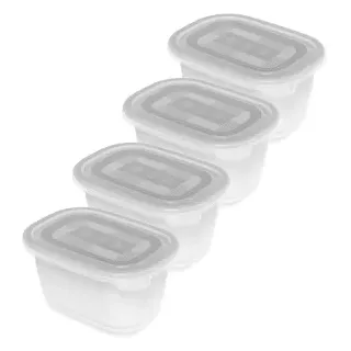 Rotho FREEZE Gefrierdosen, Frischhaltedose mit Deckel, 1 Set = 4 x 0,75 Liter