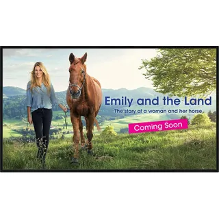 Sharp PN-HS501 Digital Signage 125cm (50") 3840x2160 4K UHD, 16:9, 3x HDMI, USB, 24/7 [] (PNHS501)