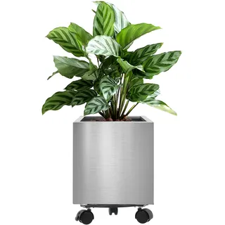 Longrun 30CM Edelstahl Quadrat Blumentopf, Home Patio Dekor Gartenarbeit Pflanzer Topf