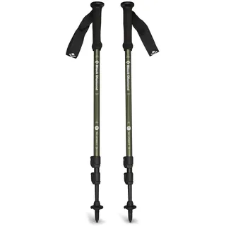 Black Diamond Explorer 3 0,257 kg grün-schwarz