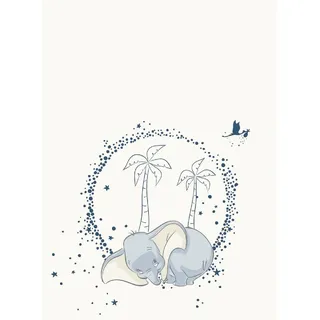 Aymax Disney Dumbo Flauschdecke Schmusedecke Kuscheldecke 110 x 150 cm