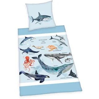 Herding Bewohner der Meere Bettwäsche-Set, Kopfkissenbezug 80 x 80 cm, Bettbezug 135 x 200 cm, Mit leichtläufigem Reißverschluss, 100% Baumwolle/Renforcé, Blau