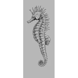 KOMAR Seahorse Panel 100 x 250 cm
