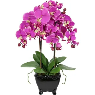 I.GE.A. "Künstliche Orchidee in Schale Phalaenopsis Kunstblume Blume", Kunstorchidee Deko Dekoblume Seidenblume,