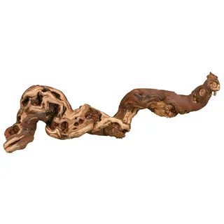 Trixie Weinrebe M: (30-40cm) 1 Stück