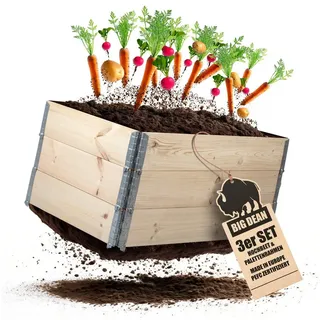 BigDean Hochbeet 120 x 80 x 60 cm Braun