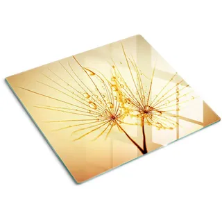 Tulup Glasplatte 60x52 cm Löwenzahn , Beige , Glas , 60x0.4x52 cm , Küchen, Küchenelektrogeräte, Herde, Herdabdeckplatten