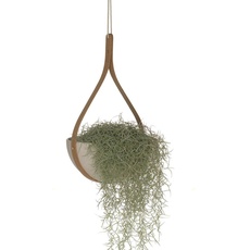 Tom Raffield - Morvah Celing Hanging Planter - Blumentopf zum Hängen