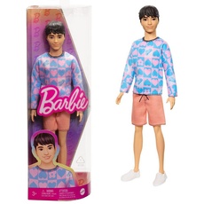Bild Barbie Fashionistas Ken mit blauem und pinkem Sweate (HRH24)