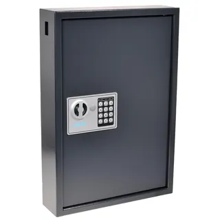 Pavo 8033911 Hochsicherheits-Schlüsselkasten für 50 Schlüssel