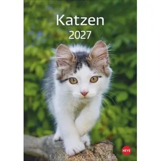 Katzen Kalender 2027