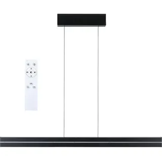 Paulmann Raiko 1-flg. 100 cm eckig schwarz