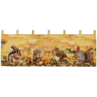 Raebel OHG Scheibengardine 45x120 cm Herbst Eichhörnchen Panneau Bistrogardine Gardine Gelb Bunt 100% Polyester