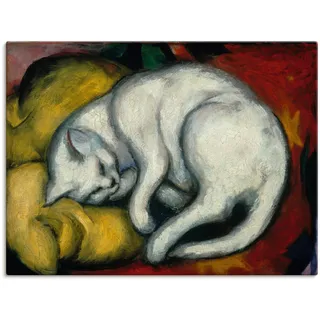 Artland Wandbild »Die weisse Katze. 1912« Haustiere 1 Stk. tlg. als Alubild, Outdoorbild, Leinwandbild, Poster in verschied. Größen, weiß