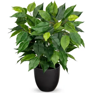 Hollyone Künstliche Pflanzen Wie Echt Ficus 40cm Künstliche Ficus Pflanzen im Topf Grünpflanze Deko Zimmerpflanze für Fensterbank Wohnzimmer Badezimmer Tischdekoration, Grün