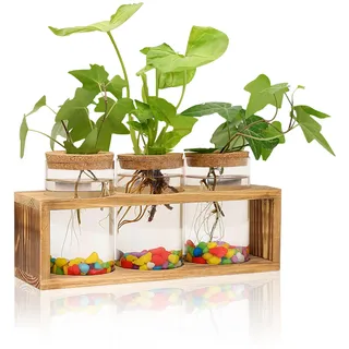 Simaixing Klare Pflanzen-Anzuchtstation mit Retro-Holzständer, Glaspflanzen-Terrarium-Dekor mit 3 Vasen, Desktop-Pflanzenständer für Hydrokulturen, Heimbüro, Gartendekoration