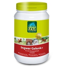 Bild Ingwer Gelenk+ 1 kg