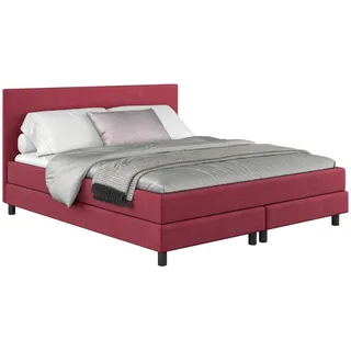 Mid.you Boxbett , Beere , Textil , Buche , teilmassiv , H3 , Höhe ca. 20 cm , 140x200 cm , Fsc , gepolstertes Kopfteil, Stoffauswahl, Topper durchgehend, in verschiedenen Größen erhältlich , Holzmöbel, Holzbetten, Boxspringbetten Holz