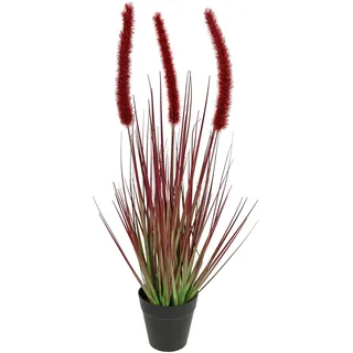 Flair Flower I.GE.A. Kunstpflanze Fuchsschwanzgras im Topf rot