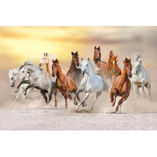 Magnetmatte für Heizkörperverkleidung Running Horses 60x100cm