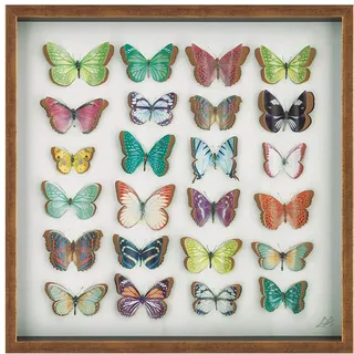 Ian Winstanley 'Tropische Schmetterlinge' Signature Collection,60 x 60 cm