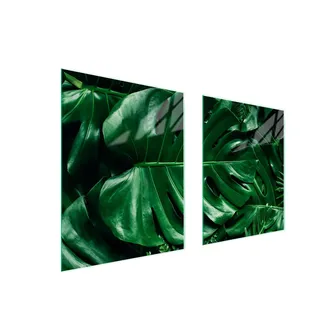 Glas-Schutzplatte 85x52 Monstera für Herde