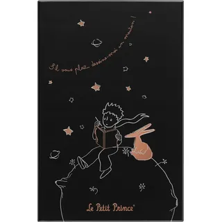 Moleskine Notizbuch Le Petit Prince Large 13 x 21 cm liniert