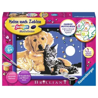 Ravensburger Malen nach Zahlen - Funklender Sternenhimmel