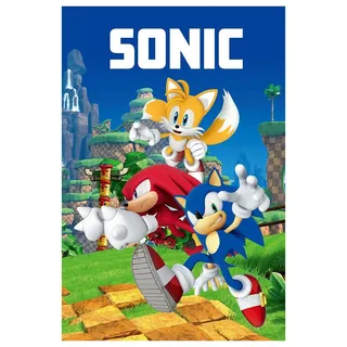 Jerry Fabrics Fleecedecke Tagesdecke Kuscheldecke Sonic Knuckels Miles Prower Videospiel 100 x 150 cm 100% Polyester