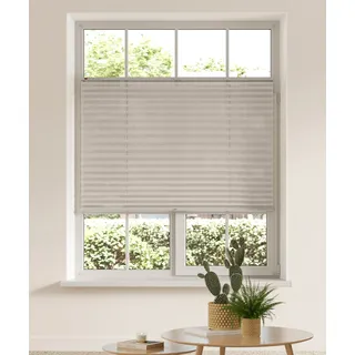 my home Plissee »LAHOLM« Lichtschutz ohne Bohren verspannt Fixmaß, Bestseller mit über 3000 4,5-Sterne-Bewertungen, Klemmträger, beige