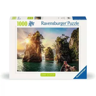 Ravensburger Puzzle 1000 Teile Puzzle