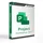 Project Professional 2021 64 Bit ESD DE Win