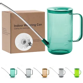 Tennedriv Green Gießkanne mit langem Ausguss für den Innenbereich, kleine Gießkannen für Zimmerpflanzen, Blumen, Sukkulenten, 958 ml, Grün