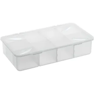 Rotho 11099, Aufbewahrungskorb, Transparent, Rechteckig, Polypropylen (PP), Einfarbig, Drinnen - Transparent