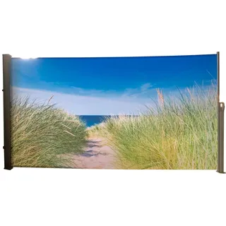 Garden Pleasure Seitenmarkise 160 x 300 cm grau Aluminium