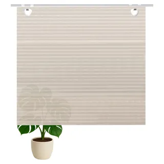 HOME WOHNIDEEN Magnetrollo "TURIN" mit Hakenaufhängung ohne Bohren, sand