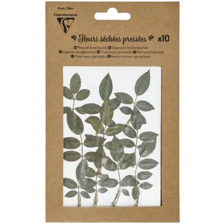 Clairefontaine 195494C - Packung mit 10 Trockenblumen gepresst, ideal für DIY- und Bastelprojekte, Blätter, 1 Pack