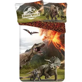 Theonoi Set 2 teilig Bettwäsche Bettbezug Wendebettwäsche 135x200 80x80 Baumwolle · Kinderbettwäsche Öko-Tex Standard Deutsche Standardgröße T-Rex Dinosaurier (Jurassic)