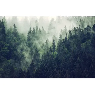 Magnetmatte für Heizkörperverkleidung Wald im Nebel 60x100cm