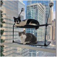 K&H 779092 EZ Easy Window Mount Kitty Sill, am Fenster zu befestigendes Katzenbett mit zwei Ebenen