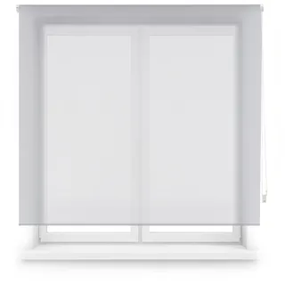 Blindecor Screen Premium nach Maß | Farbe Grau | Rollo 60 x 170 cm Breite x Höhe 57 x 165 cm | Stoffrollo mit 38 mm Rohr, robuster und eleganter