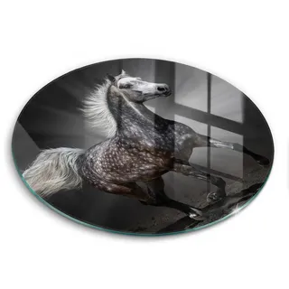 Wallfluent Glasplatte Ø 40 cm Pferd im Galopp , Zinkfarben , Glas , Rund , 40x40 cm , Küchenzubehör, Schneidebretter